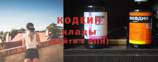 прущие грибы Аркадак