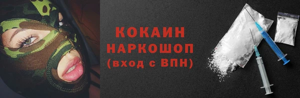прущие грибы Аркадак