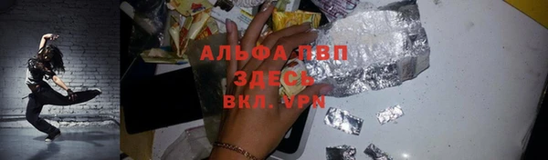 прущие грибы Аркадак
