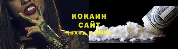 прущие грибы Архангельск