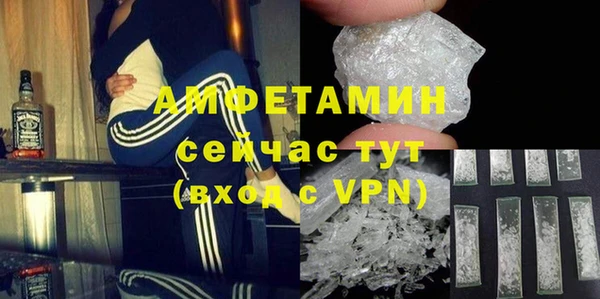 прущие грибы Архангельск