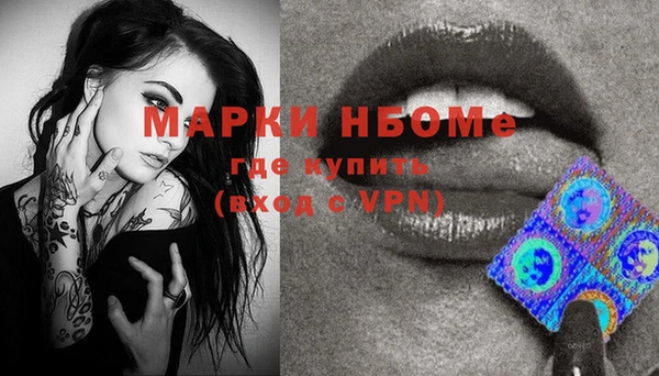 прущие грибы Аркадак