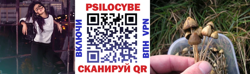 Псилоцибиновые грибы MAGIC MUSHROOMS  Белебей 
